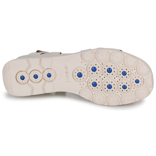 Geox - D SPHERICA EC6 - Beige