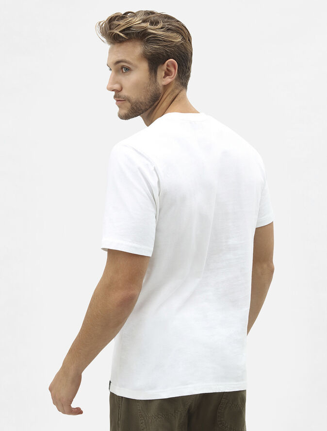Dickies ICON LOGO TEE WHITE White