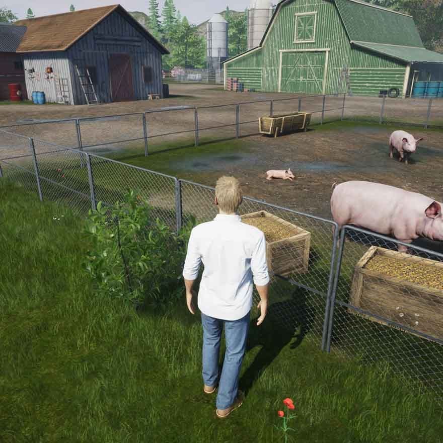 My Life Farm Vet- Nintendo Switch