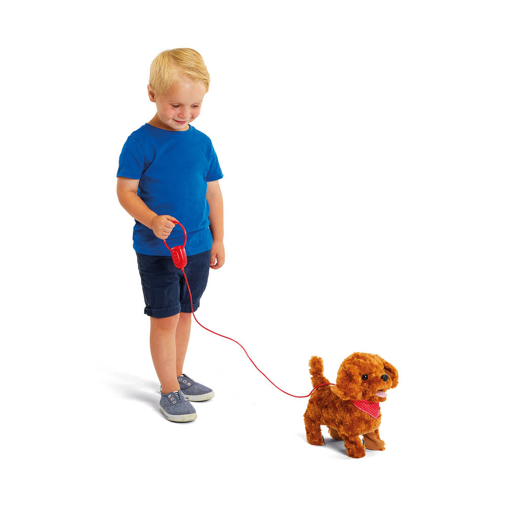 Pitter Patter Pets Walk Along labradoodle