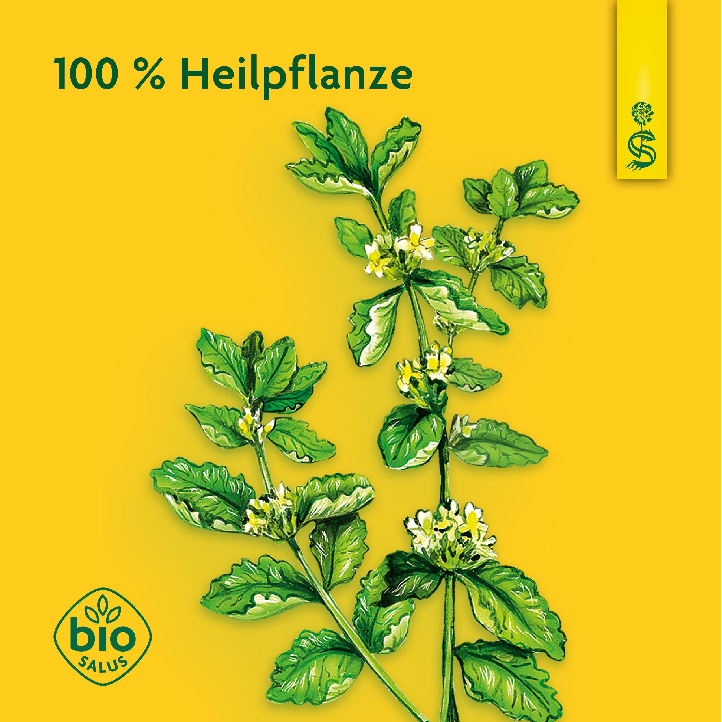 Schoenenberger® naturreiner Heilpflazensaft Andorn