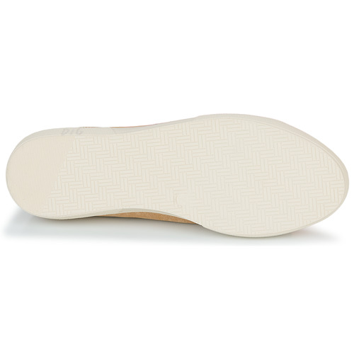 Dream in Green - ACANTHE - Beige