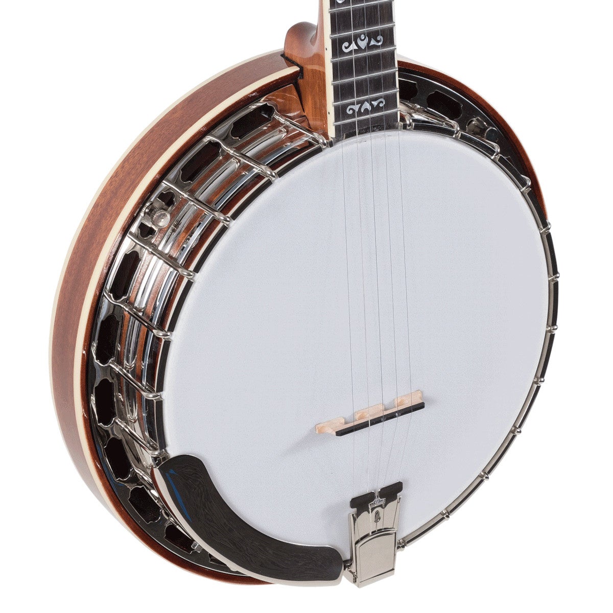 Recording King RK-ELITE-75 Elite Flying Eagle 5-Snarige Banjo met armsteun en luxe koffer