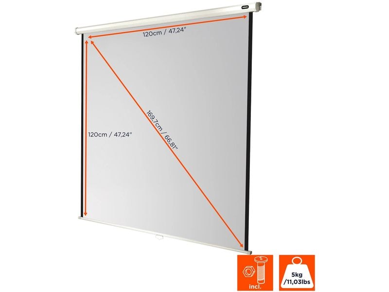 Celexon Rollo-Leinwand Eco 120x120cm 1:1 Leinwand Rollo Economy 120 x 120 cm