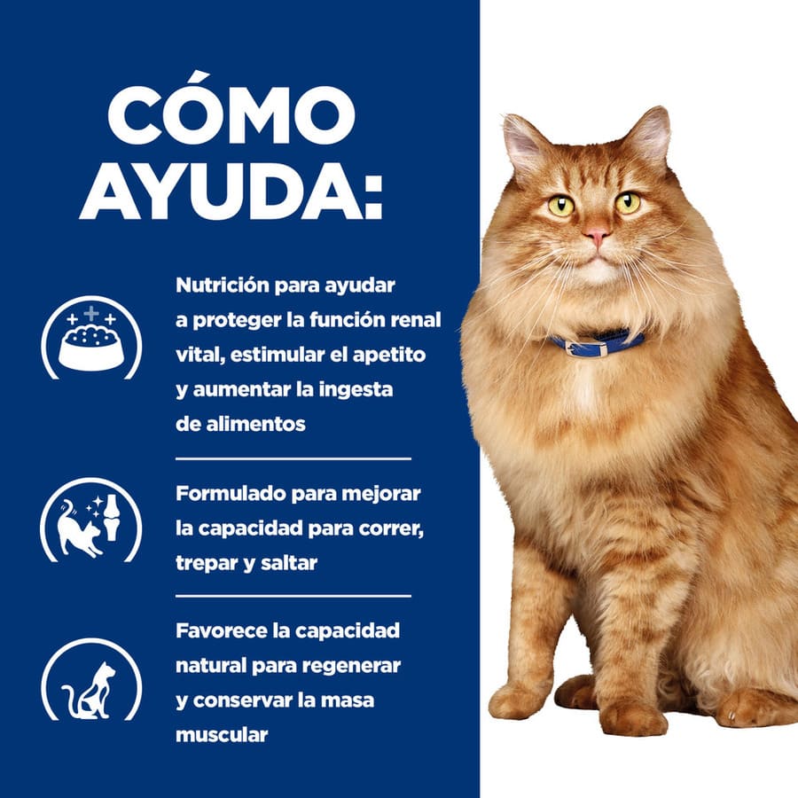 Hill's Prescription Diet k/d + Mobility j/d Frango sobre para gatos