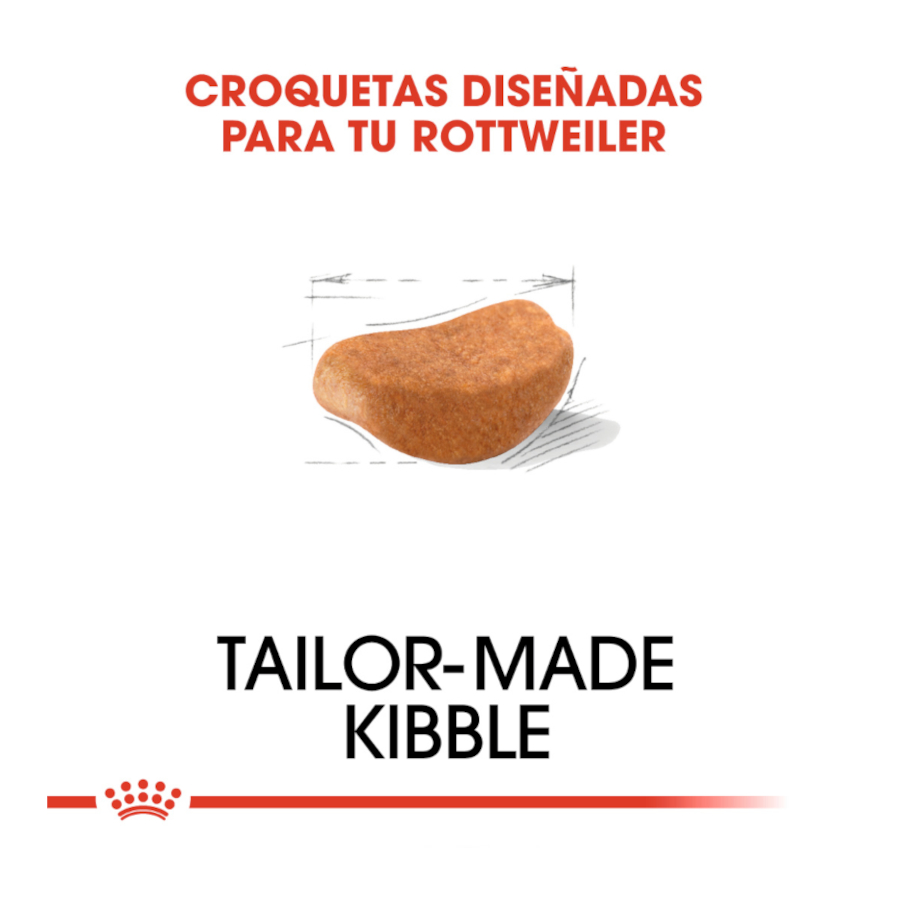 Ração Royal Canin para cães adultos da raça Rottweiler