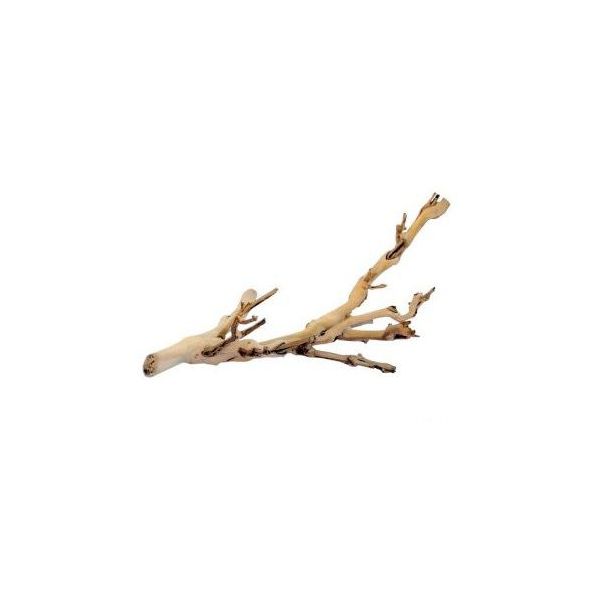 Exo Terra Ramos Naturais Forest Branch 60cm