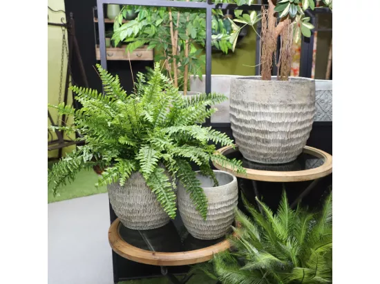 4 Cache-pots grandes tailles plante extérieur béton gris 26-33-42-51cm