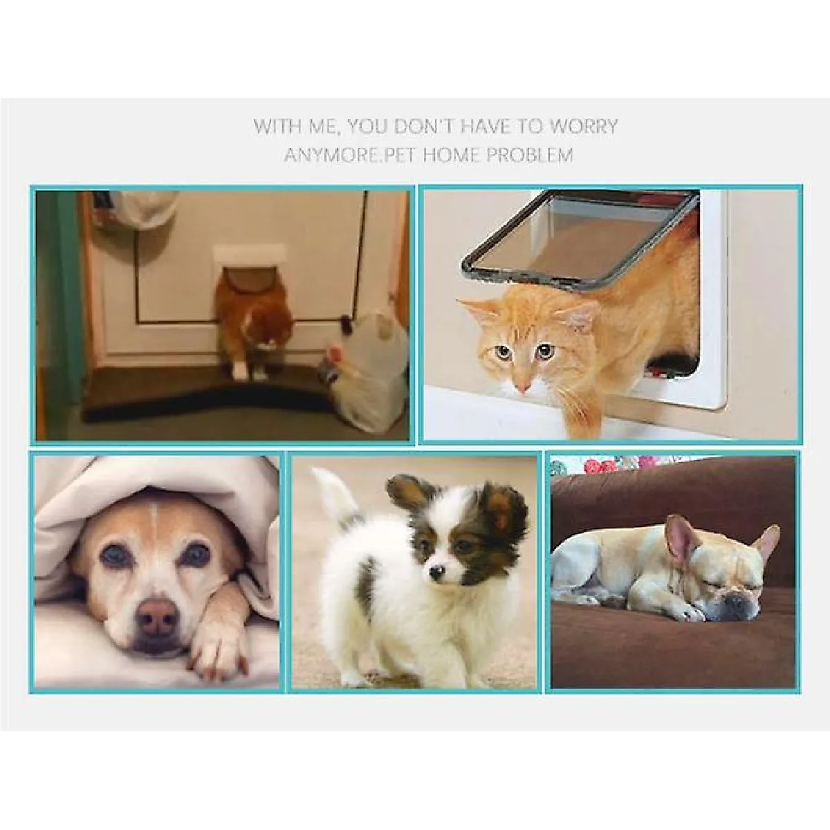Universal Porte pour animaux 4 modes