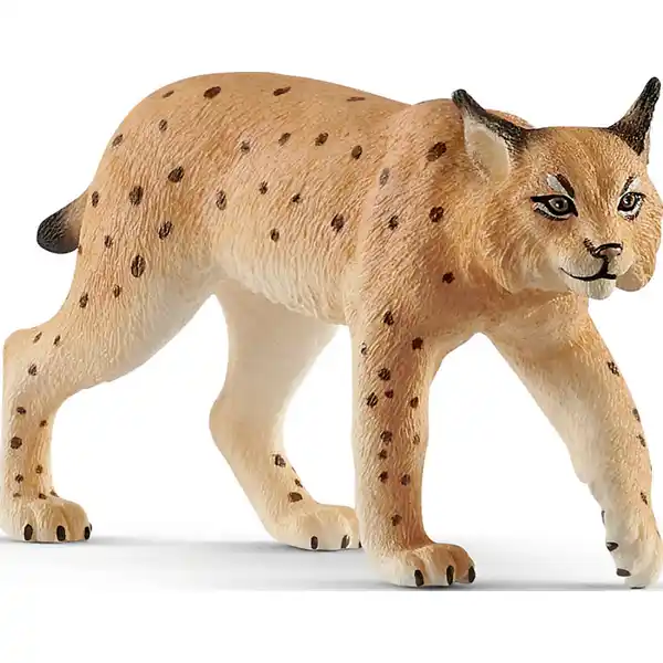 14822 Wild Life, Luchs