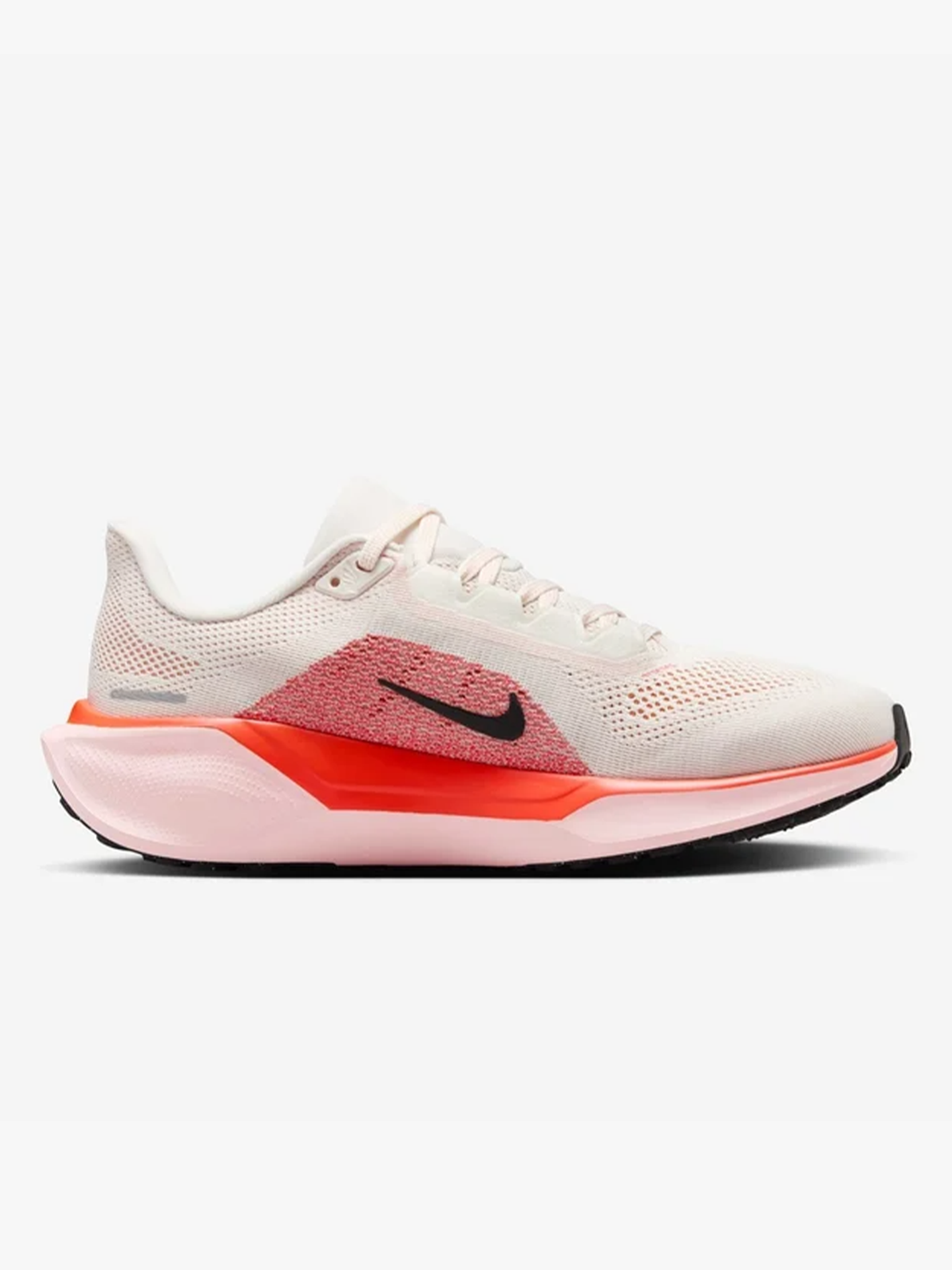 Pegasus 41