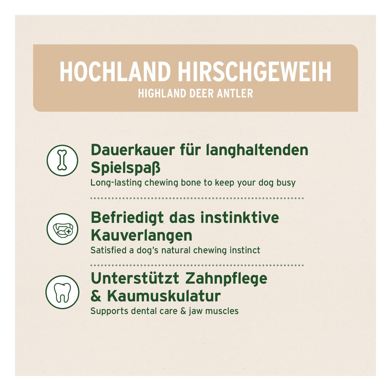 AniForte Hochland Hirschgeweih Large