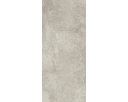 Porseleinen wand- en vloertegel Montreal 120 x 280 x 0,6 cm zilver mat