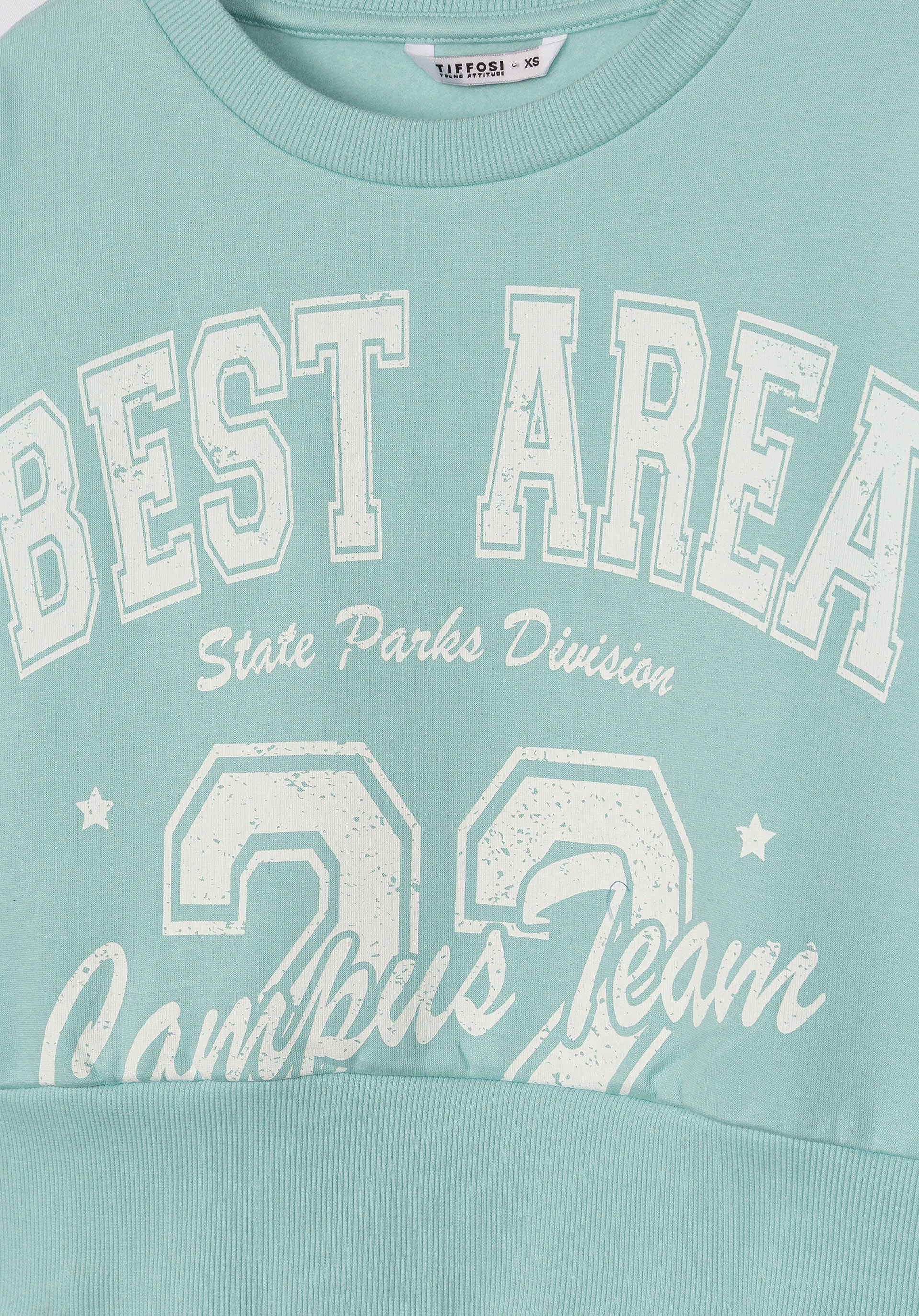 Sweatshirt com Estampado Frontal