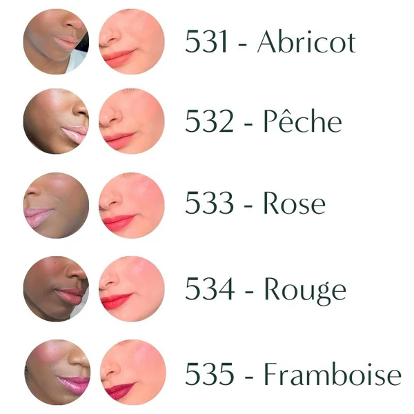 All Tigers Lips & Blush - 531 - Abricot