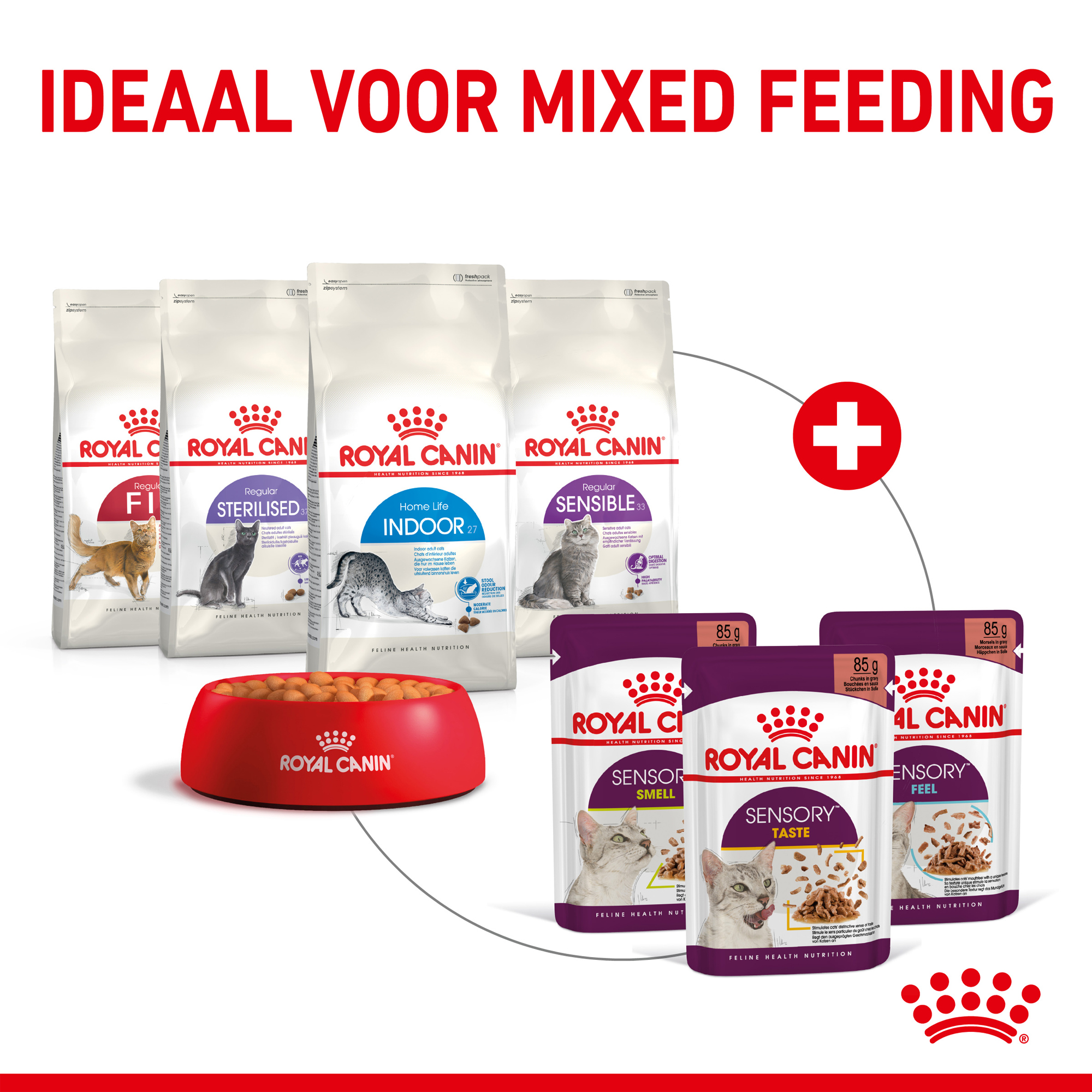 Royal Canin FHN Sensory Taste in Gravy