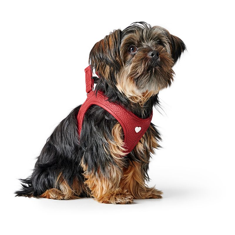 Harnais HUNTER Love, rouge pour chien