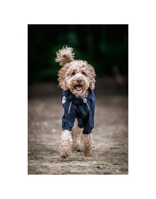 Mikki Doodle Coat Zwart - Hondenjas
