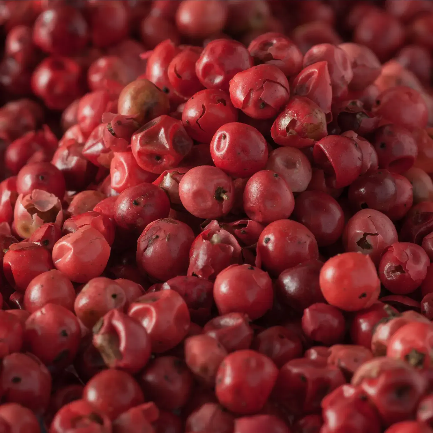 Pfeffer rot / Pfefferbeere rosa, ganz
