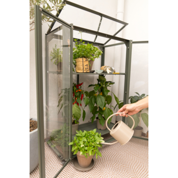 Royal Well Urban Grower Medium