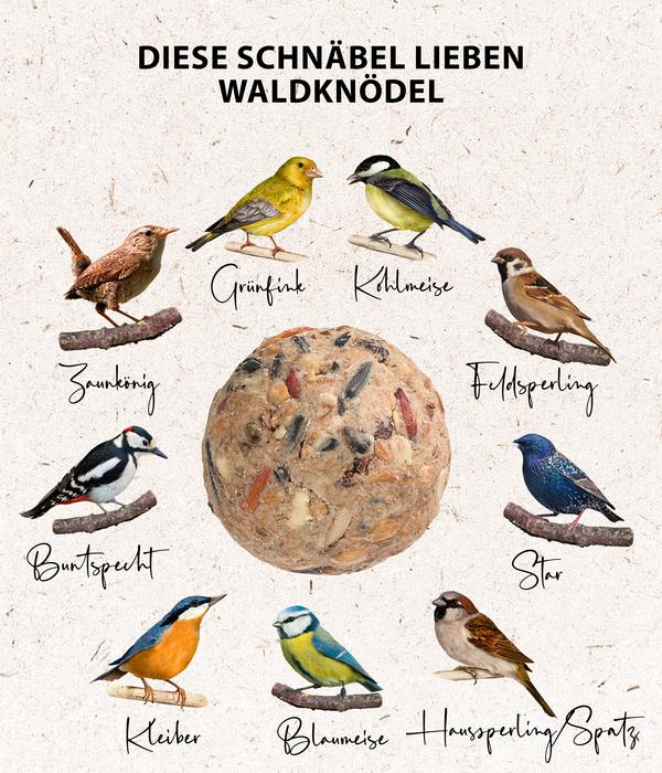 Dehner Natura Premium Wildvogelfutter