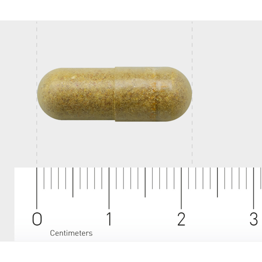 Orthica Multi Probiotica 60 capsules