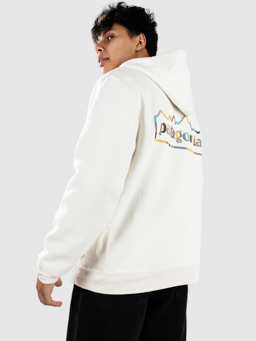 Patagonia Unity Fitz Uprisal Hoodie birch white