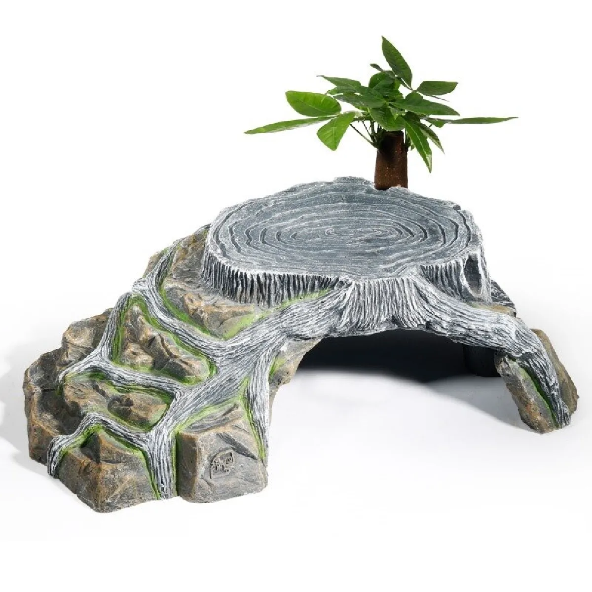 Universal Résine Reptile Habitat Cachée