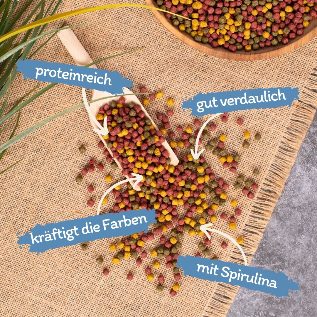 Lyra Pond® Pond Allround Mix im Eimer