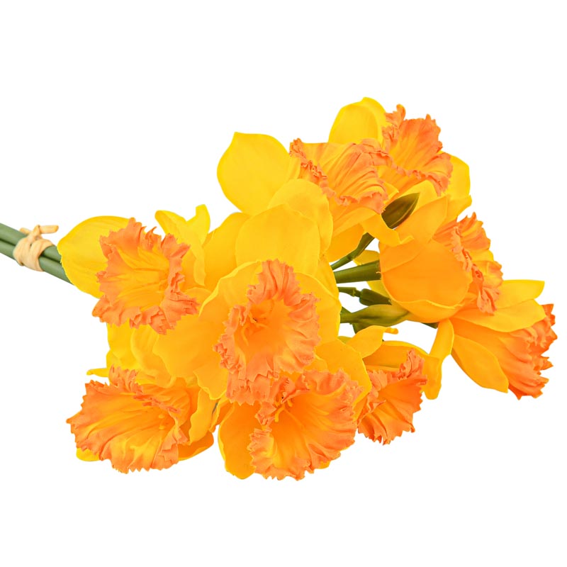 Bouquet de jonquilles