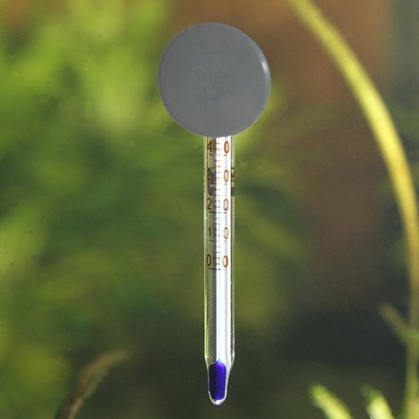 JBL Aquariumthermometer Mini