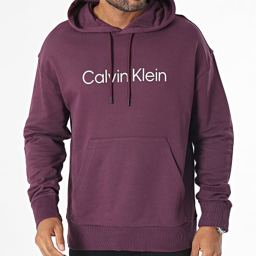 Sweat Capuche Hero Logo Comfort 1345 Violet