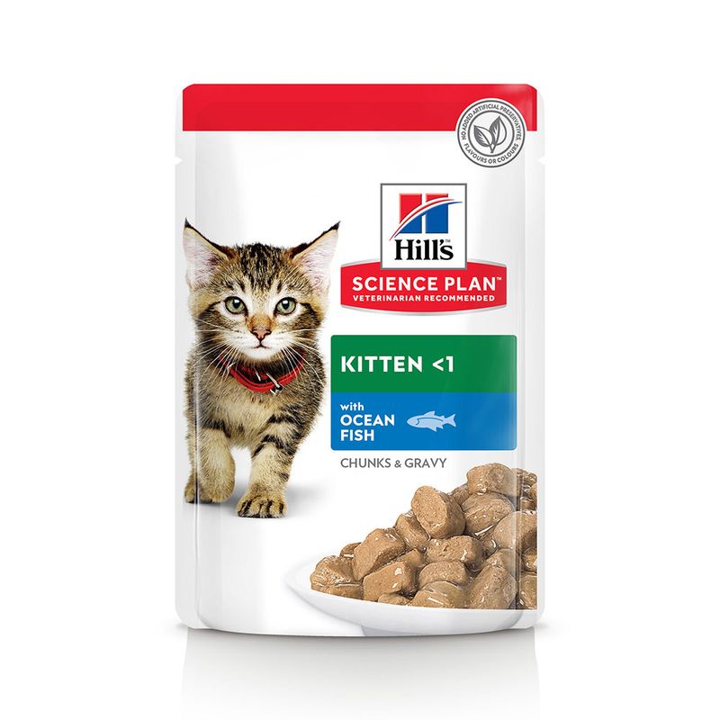 Hill's Feline Kitten