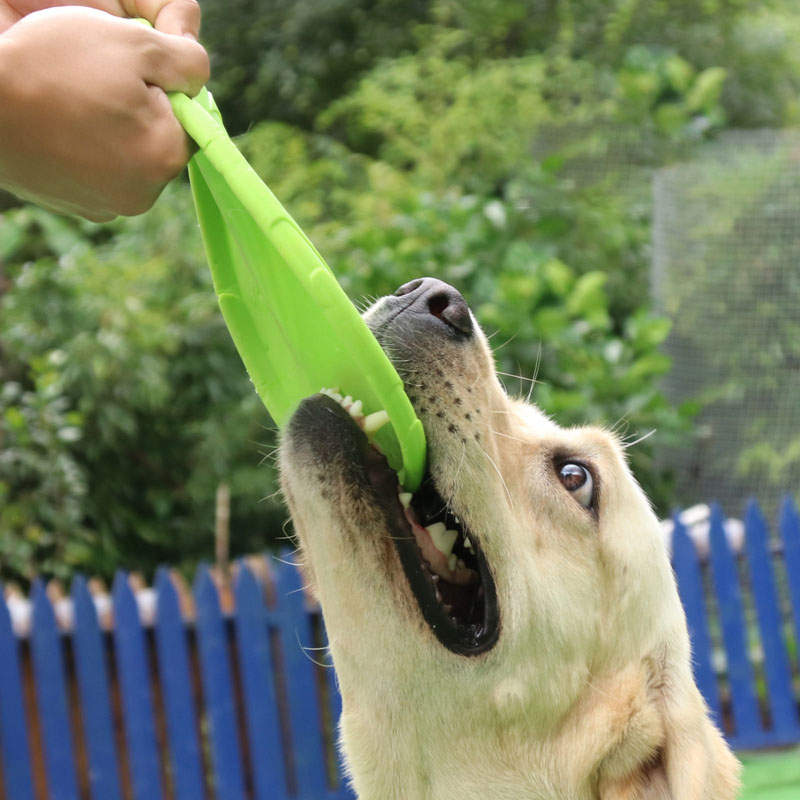 (Ø15cm) Gummi Hunde Wurfscheibe Haustier Flying Disc Spielzeug Apportier Spiel - Orange