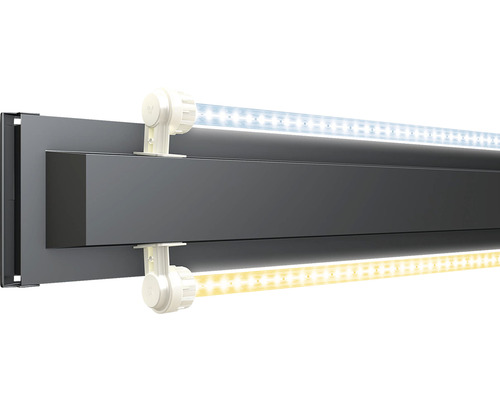 JUWEL Rio 350 aquarium met LED-verlichting, pomp, filter, verwarming (zonder kast), grijs