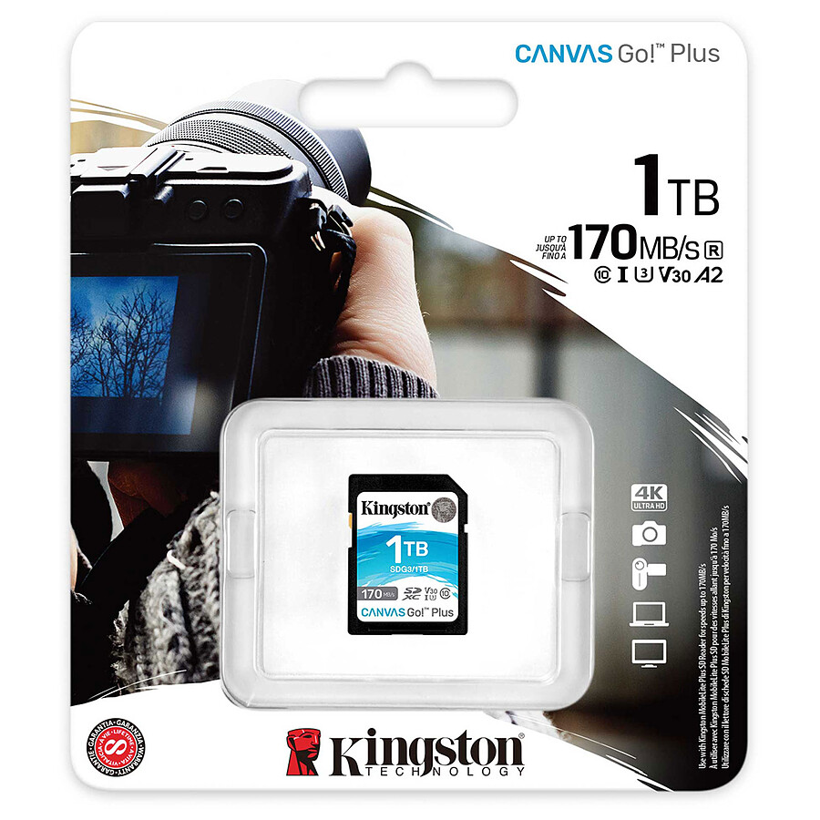 Kingston SD Plus Canvas Go! SDG3 - 1TB