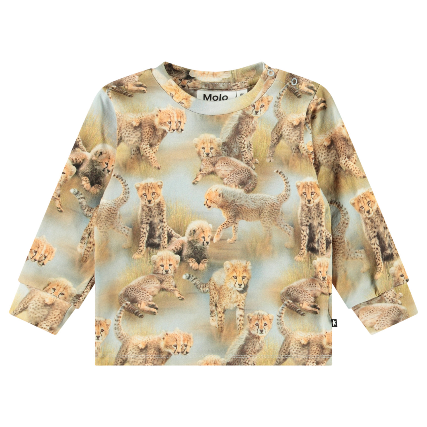 Eloy - Cheetah Cubs