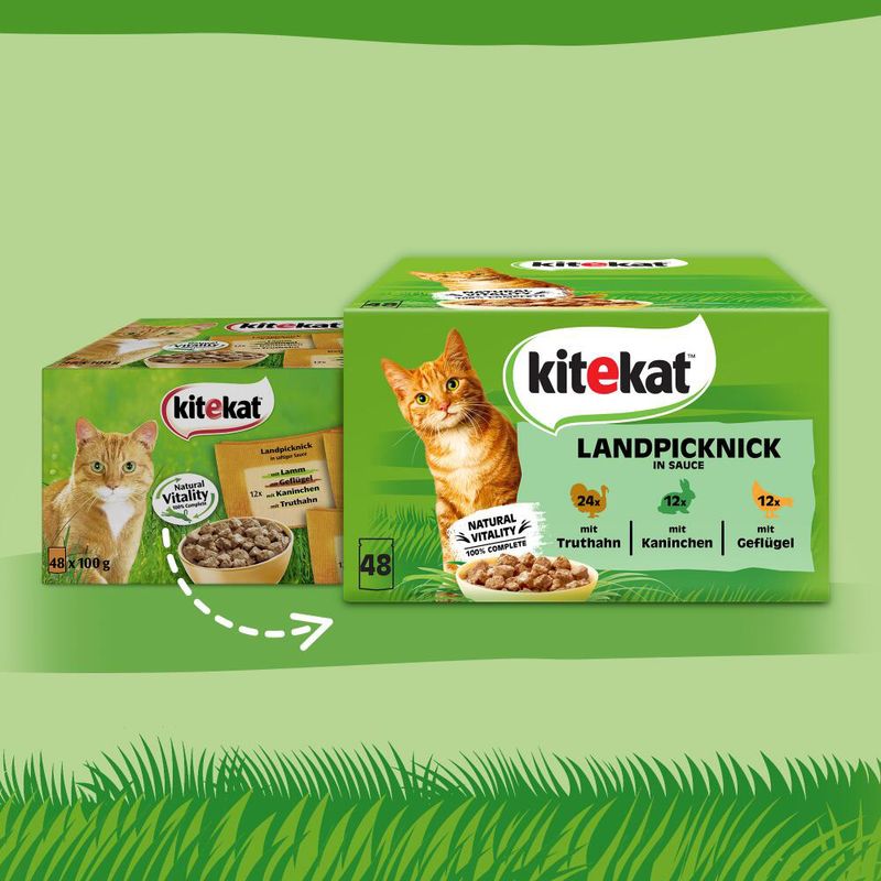 Kitekat 48 x 85 g à prix discount sur bitiba.fr