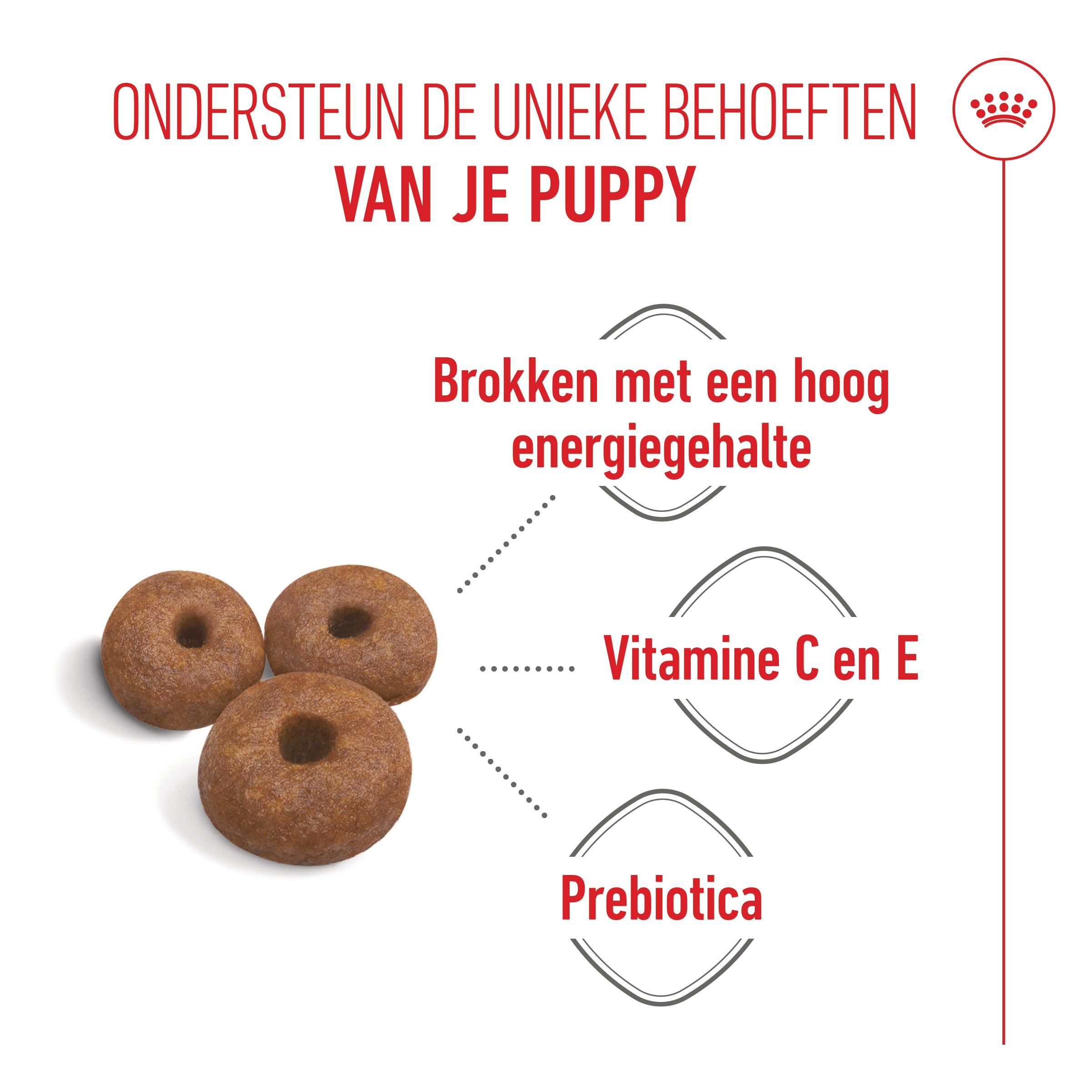 Royal Canin Giant Starter Mother & Babydog - Hondenvoer