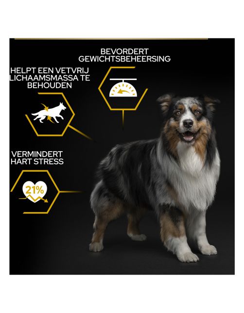 Pro Plan Dog Adult Light Kip - Hondenvoer