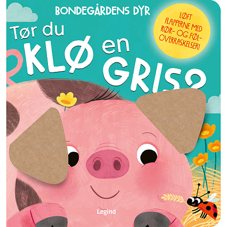 Tør du klø en gris