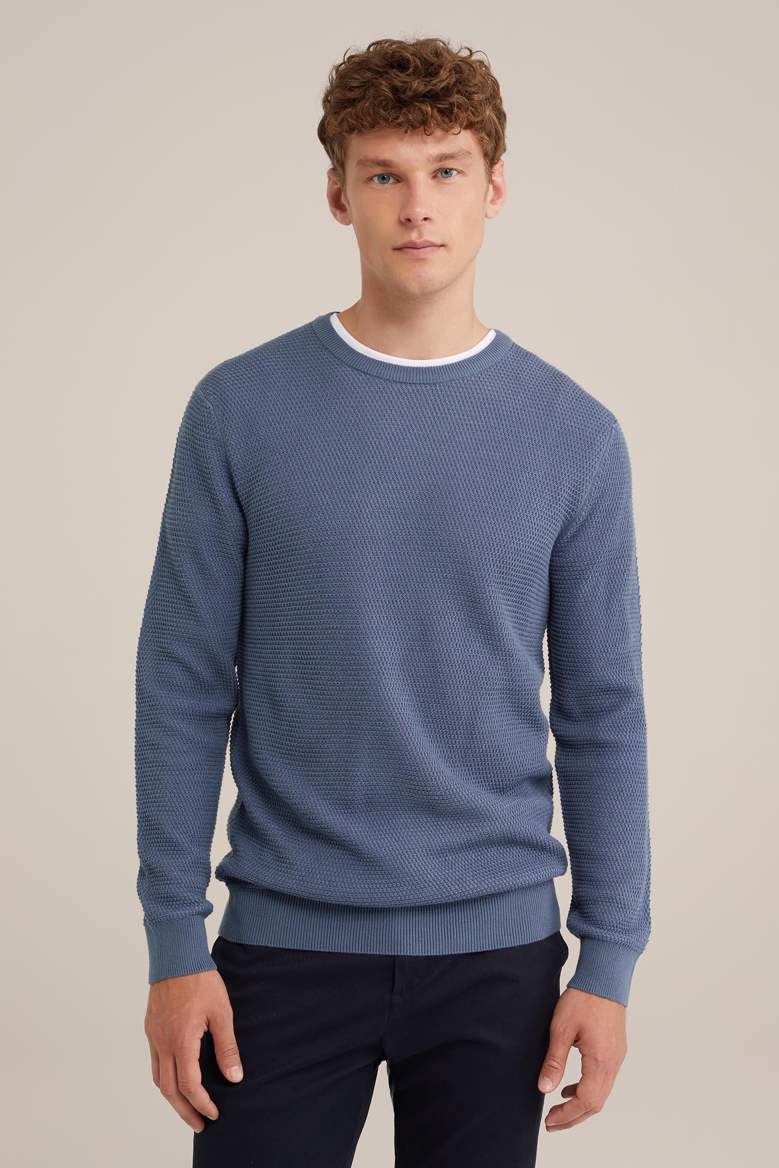 trui met structuur WE Fashion Blauw