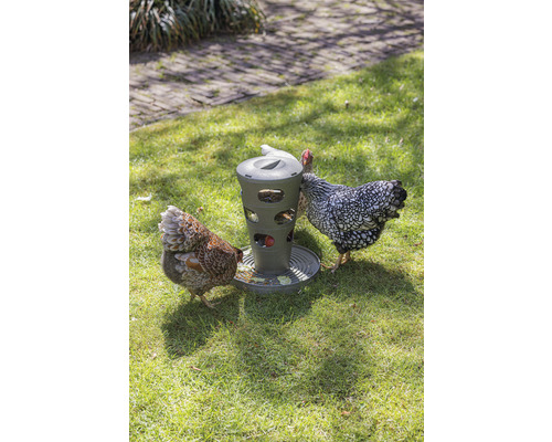 Kippenvoedertoren Beeztees grijs 30 x 30 x 36 cm gerecycled plastic