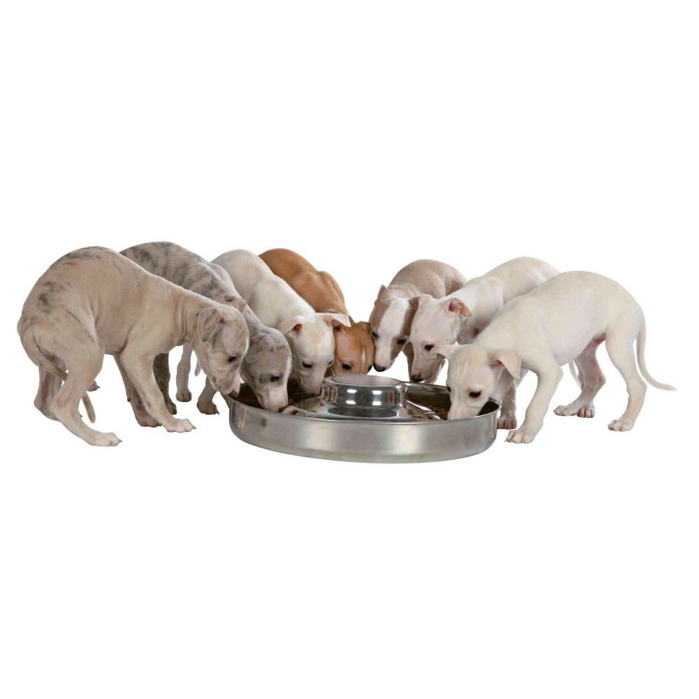 Écuelle pour chiots, 1,4 litre, ø 29 cm, pour chien