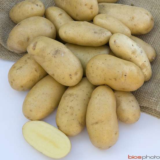 Plants de pommes de terre La Belle de Fontenay' en sac - 3 kg