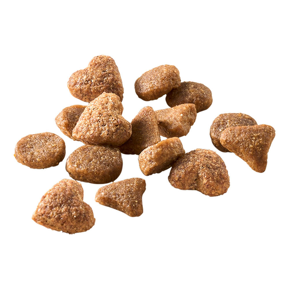 Welkoop Adult - Kattenvoer - 2 Kilogram - gevogelte