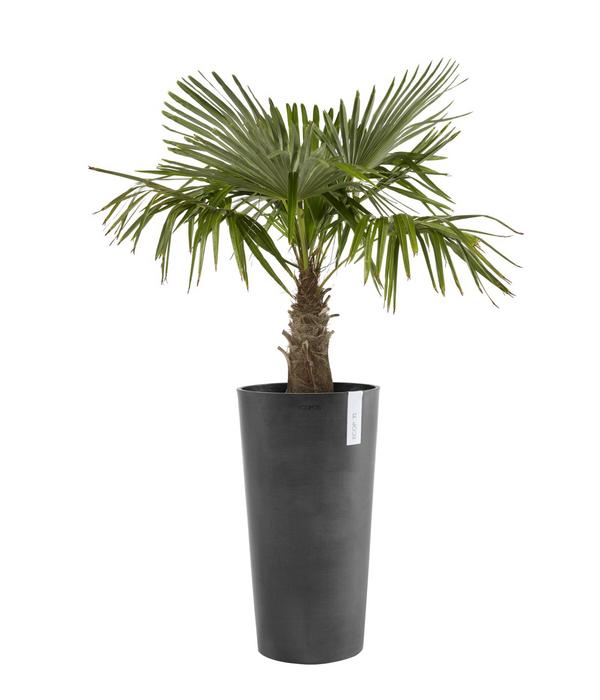 Ecopots Kunststoff-Topf Amsterdam hoch, rund