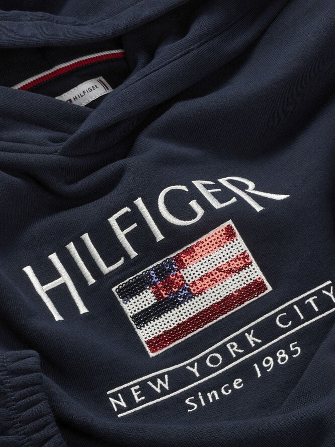 Tommy Hilfiger HILFIGER SEQUIN FLAG HOODIE Dark night navy