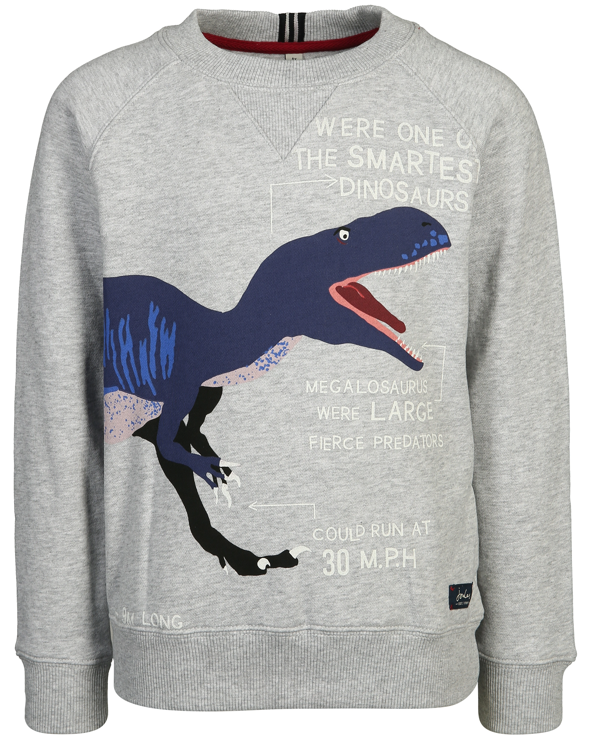 Sweatshirt VENTURA - DINO in grau