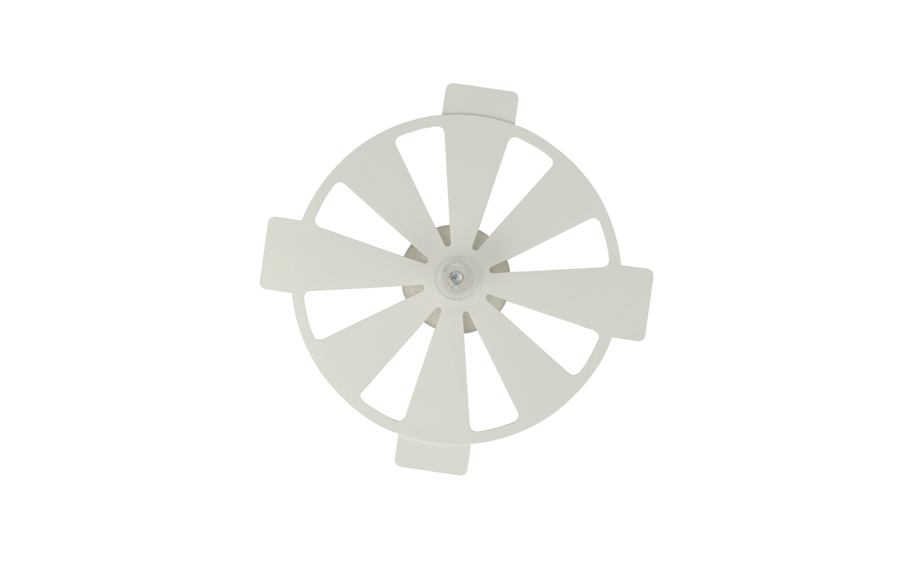 AS-BSC BouncerBouncer mit Saugnapf